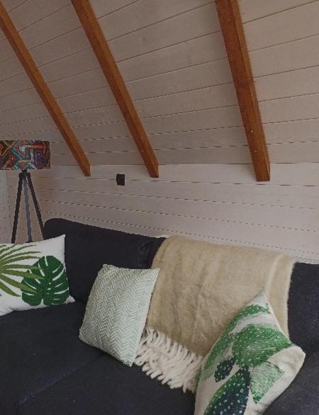 Chalet Toladi *